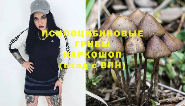 MESCALINE Арсеньев
